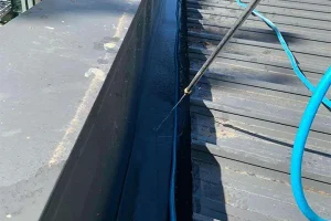 Gutter & Roof cleaning